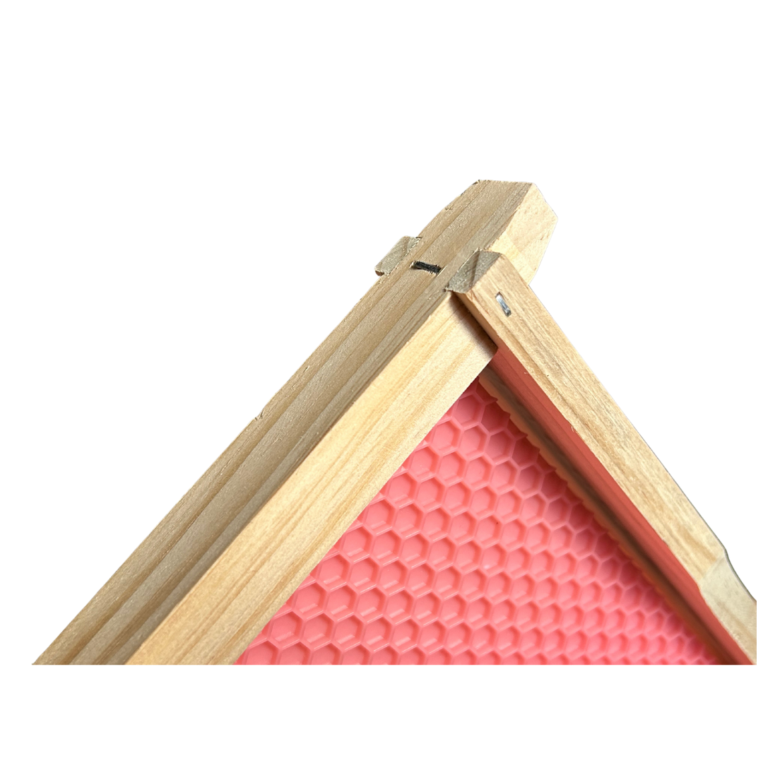 Carton of 20 - Assembled DEEP Timber Beekeeping Frame With DRONE Plastic Foundation
