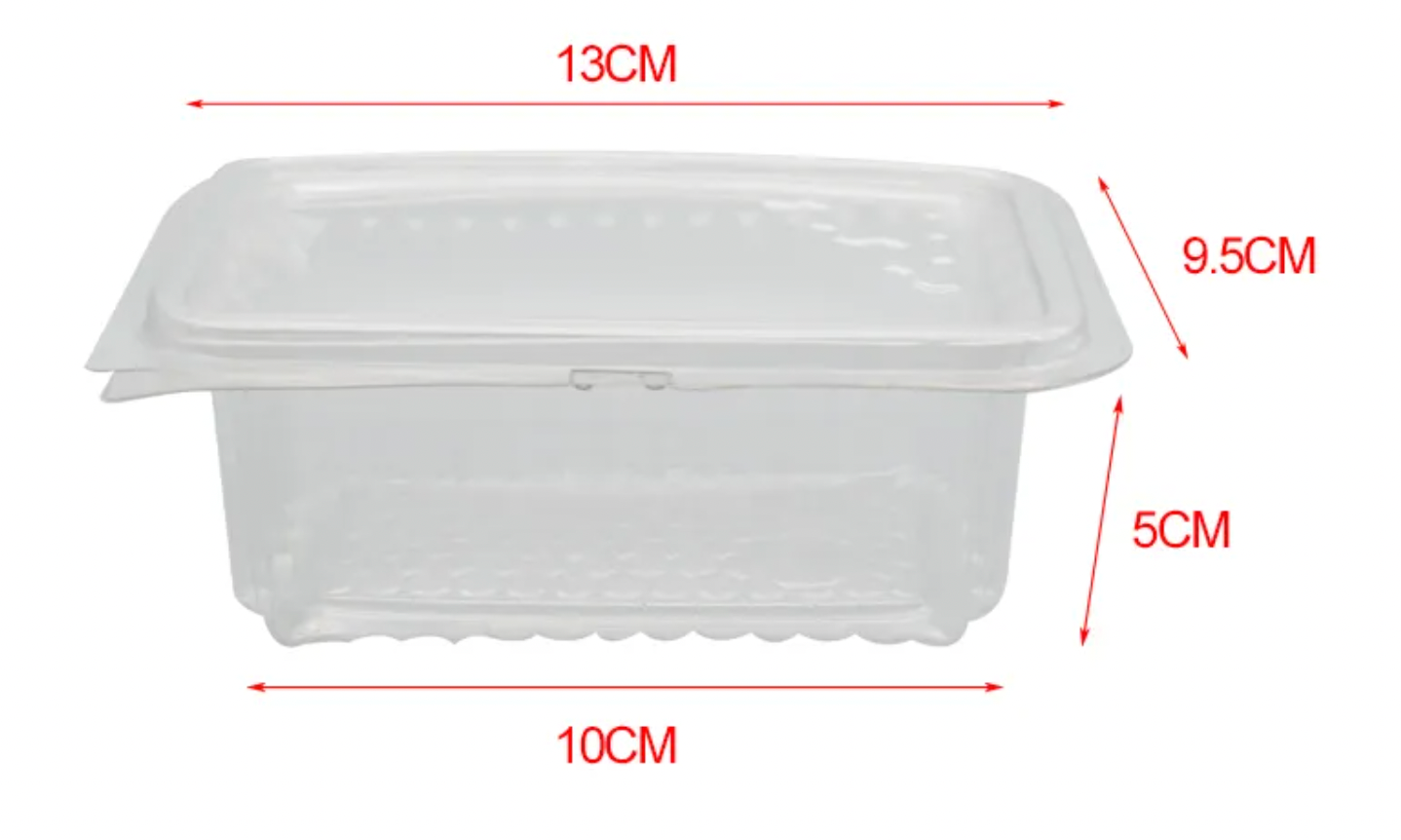 Plastic Embossed Honeycomb Containers - Pack of 100