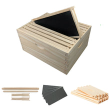 8-Frame Deep Super Box Unassembled Kit, Includes Box, Frames & Foundation