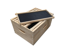Assembled beehive box with assembled frames and black plastic foundation