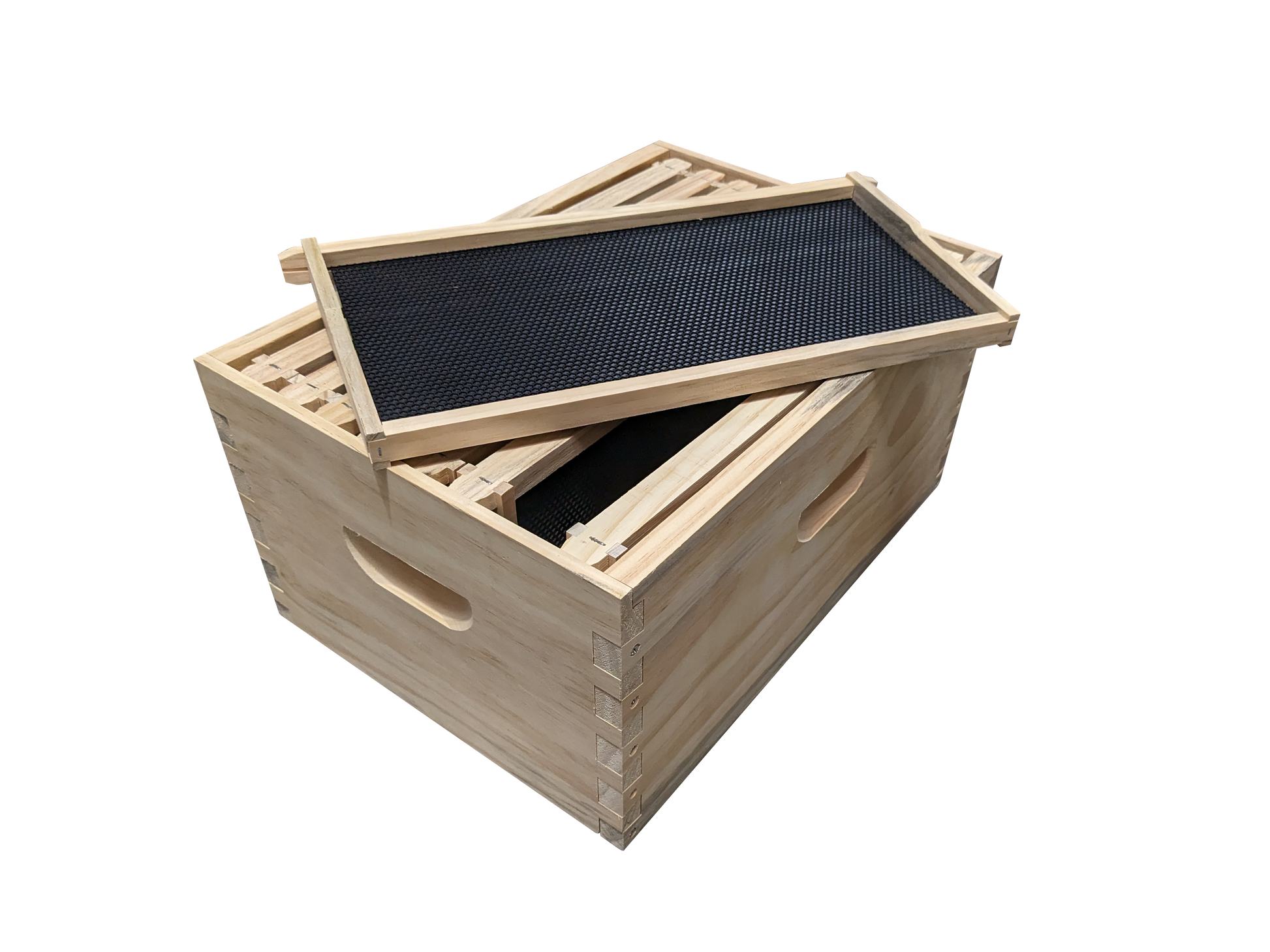 Assembled beehive box with assembled frames and black plastic foundation
