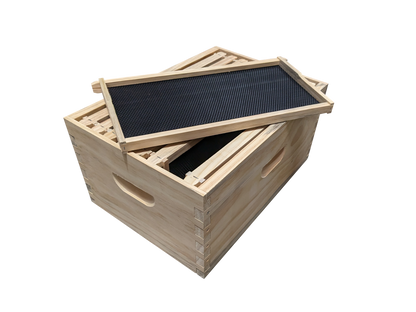 Assembled beehive box with assembled frames and black plastic foundation