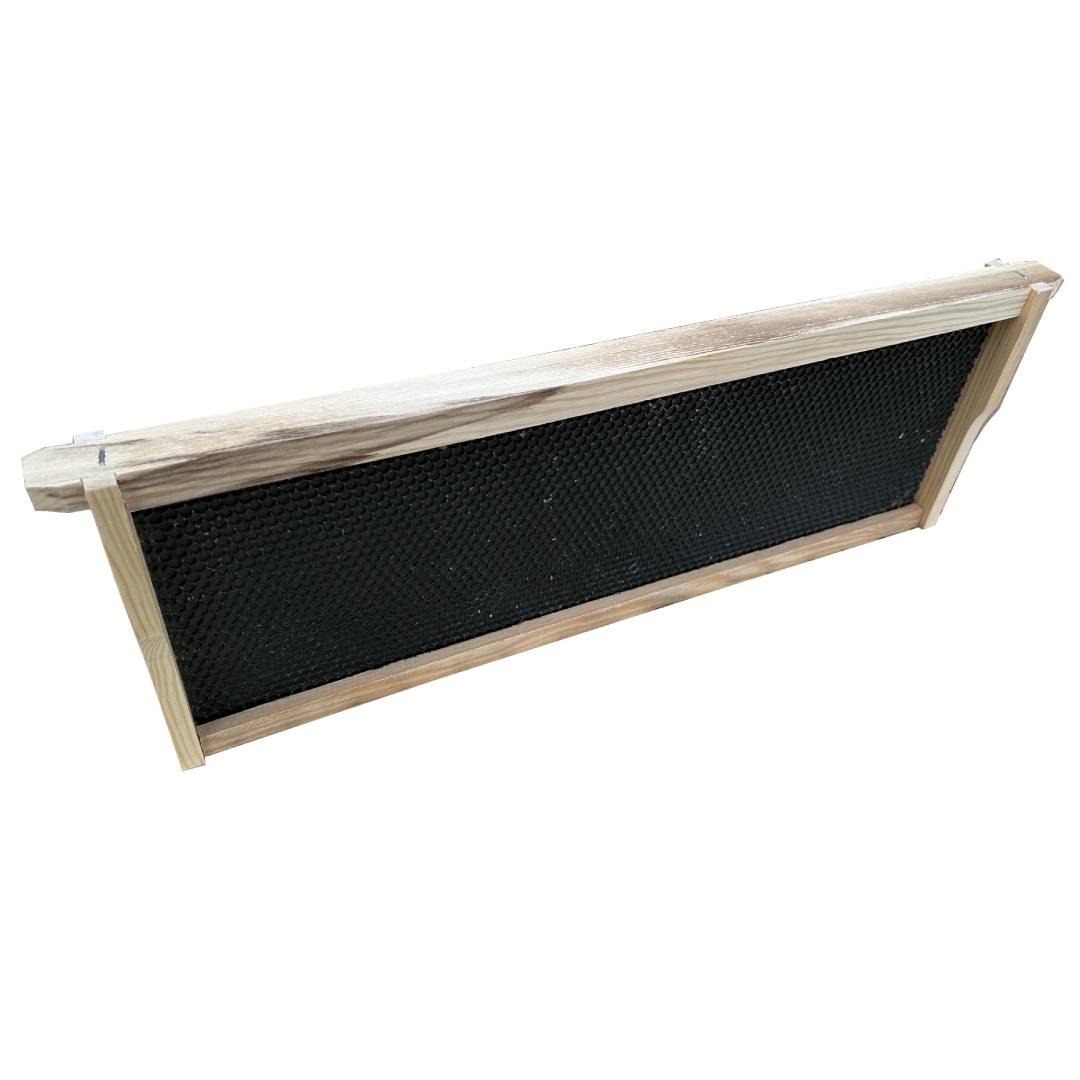 Assembled medium Frames with black plastic foundation