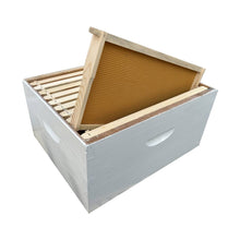 Assembled 10F painted beehive super