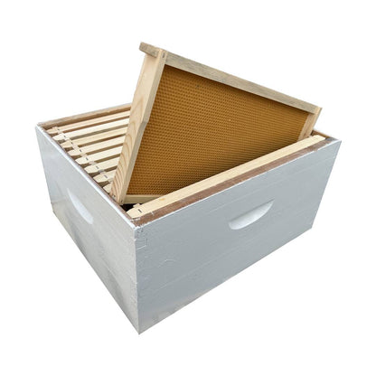 Assembled 10F painted beehive super