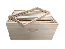 Assembled Super Box and Assembled Wired Frames