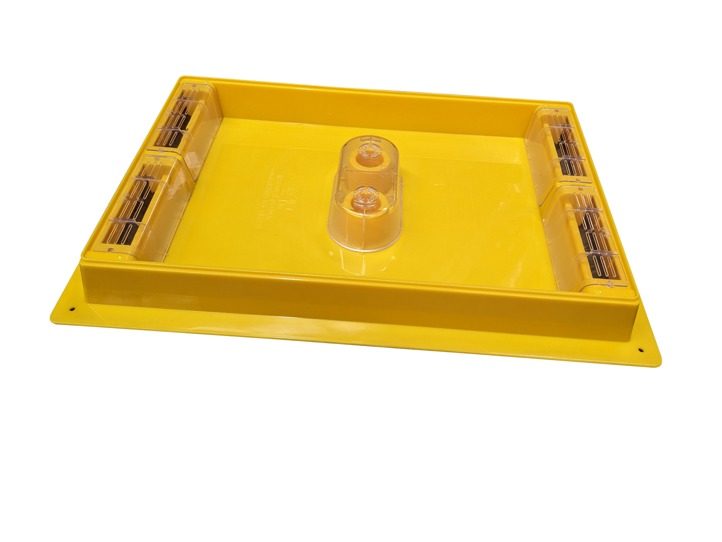 Hive Top feeder