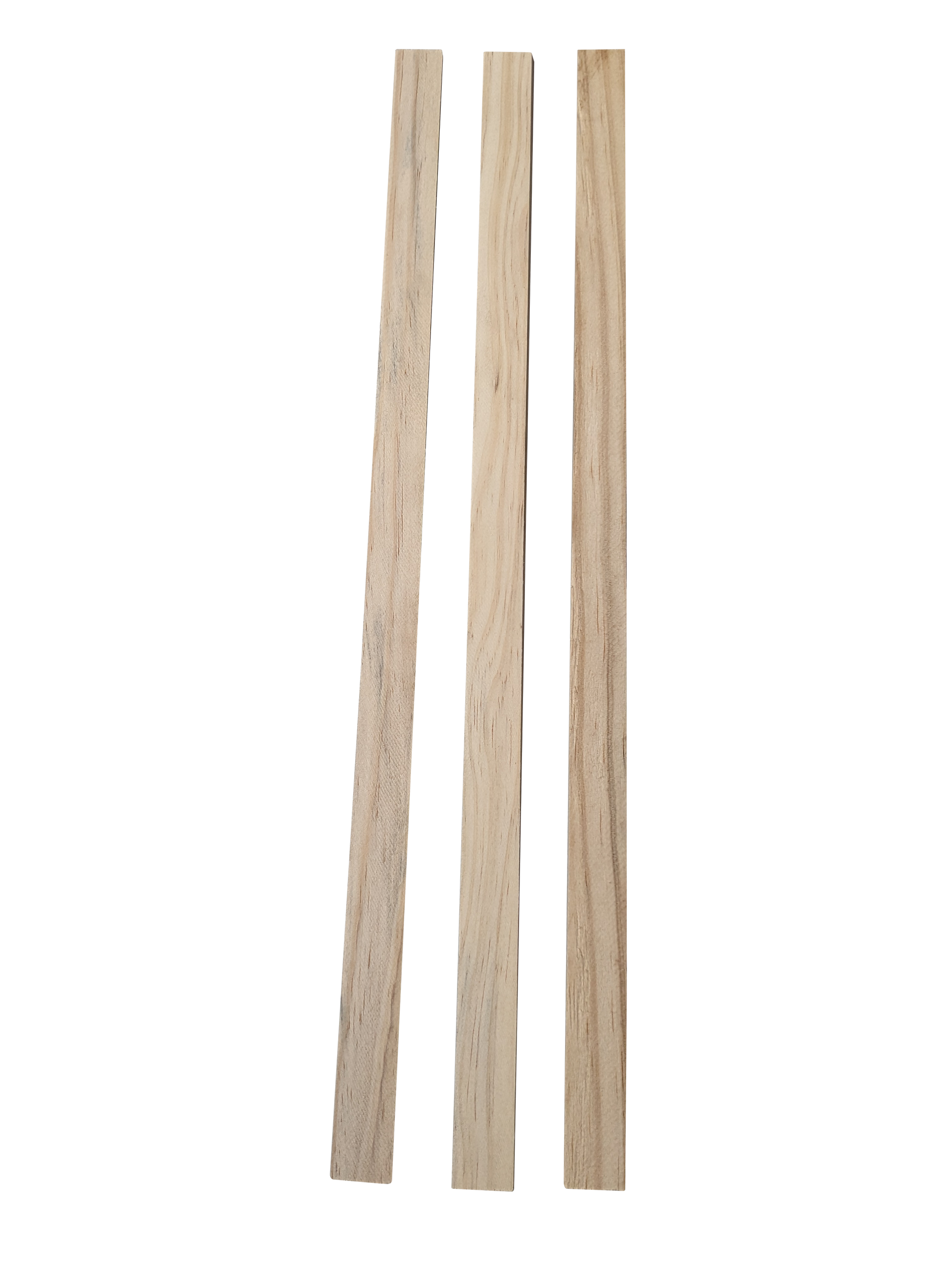 Beekeeping Starter Strip