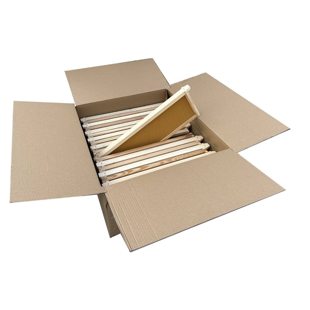 Assembled medium Frames with yellow plastic foundation