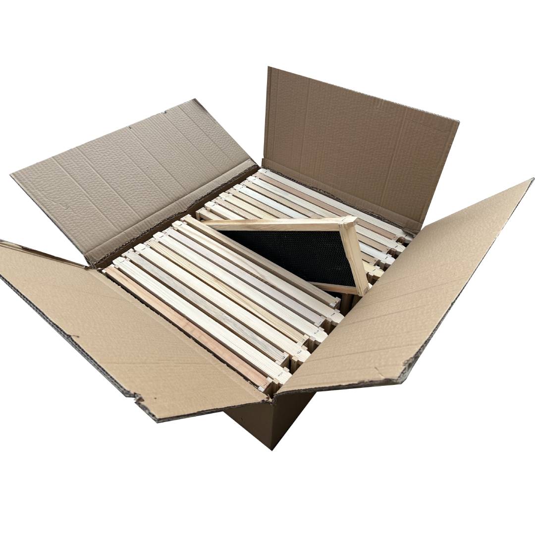Assembled medium Frames with black plastic foundation