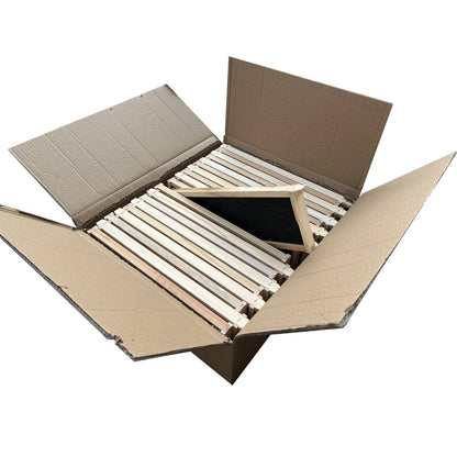 Assembled medium Frames with black plastic foundation