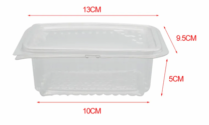 Plastic Embossed Honeycomb Containers - Pack of 100