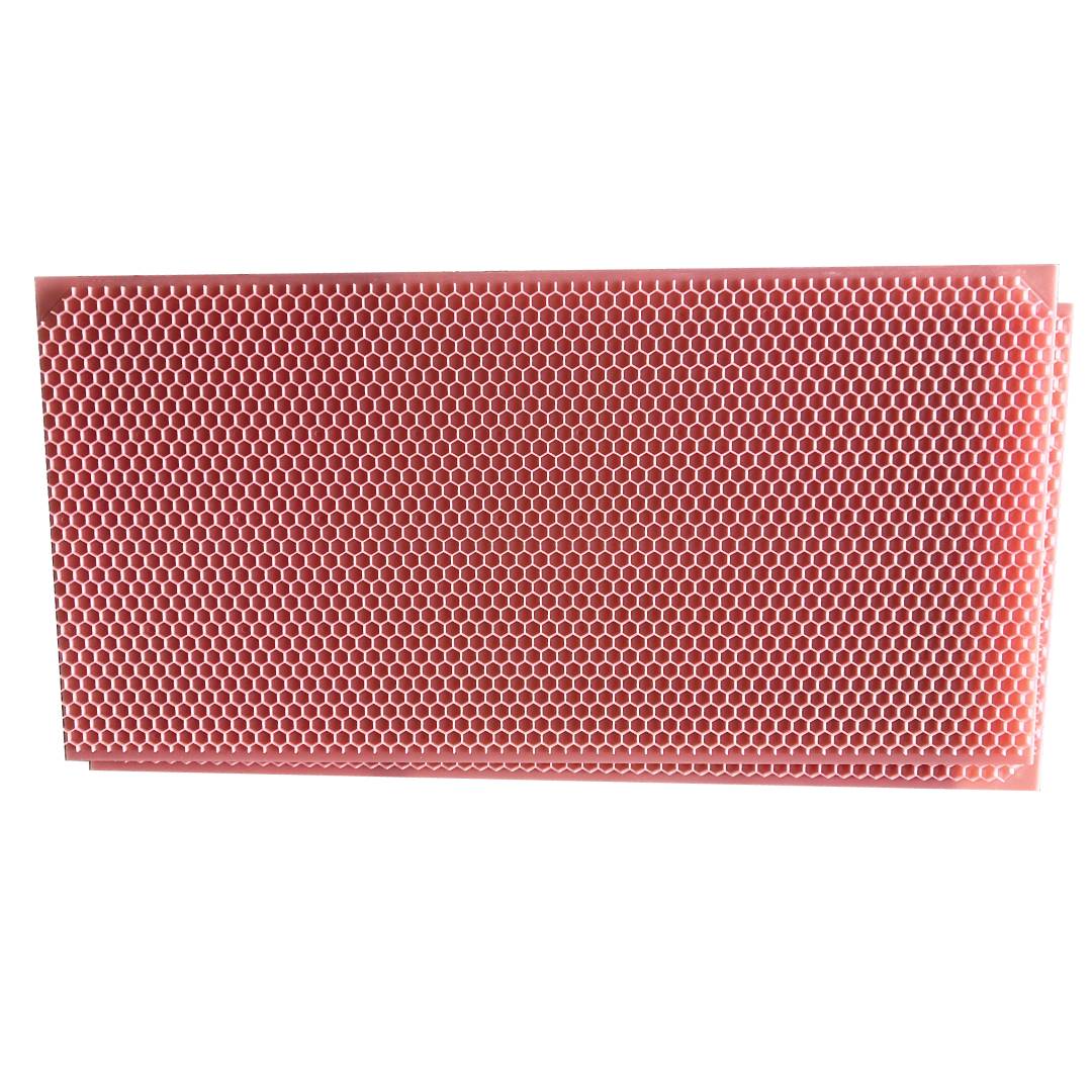 DRONE - Plastic Beekeeping Foundation - DEEP - Pink Color