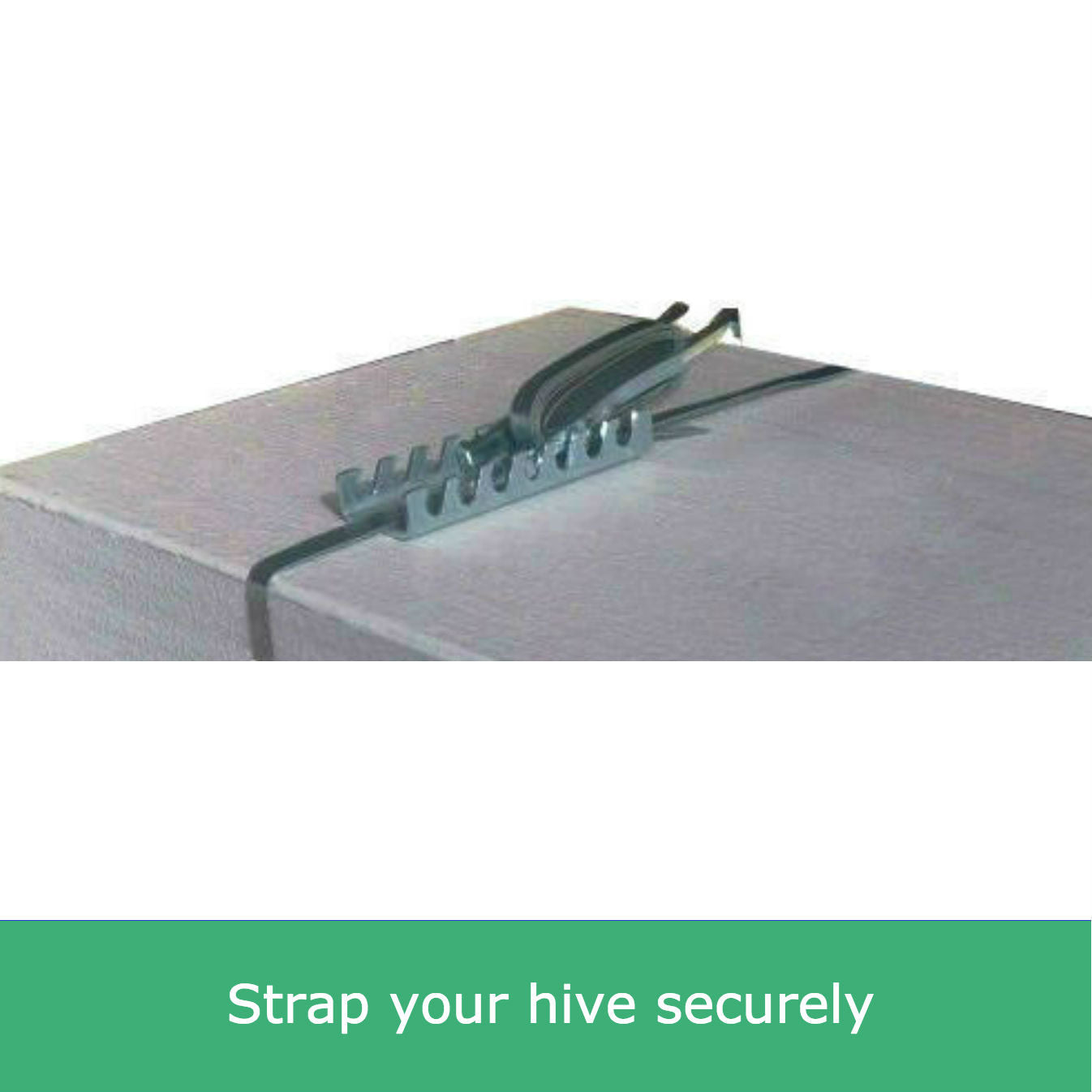 Emlock Hive Lock Steel Strapping Beekeeping Galvanised Beehive Strap