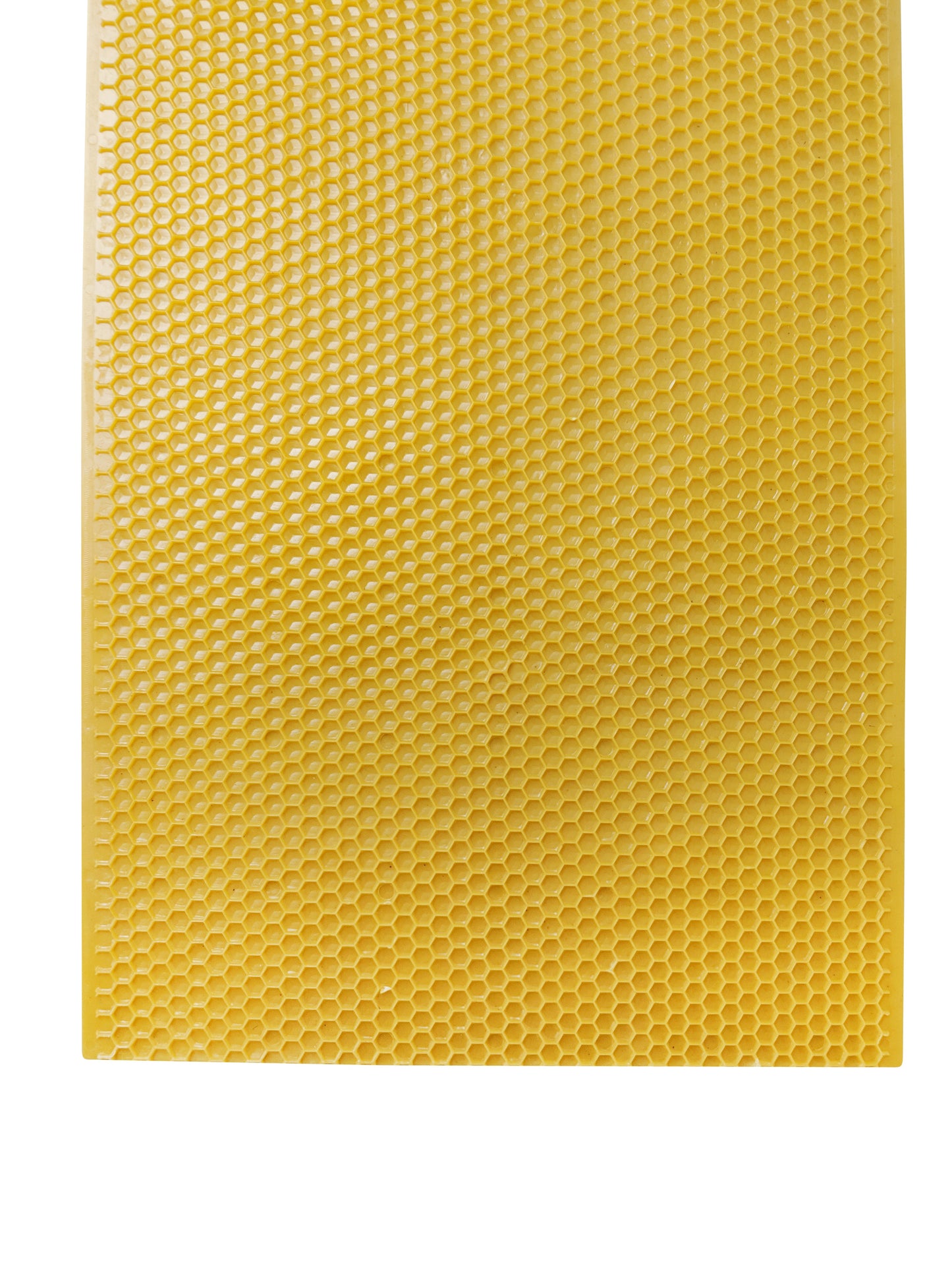Plastic Beekeeping Foundation - DEEP - Yellow Color