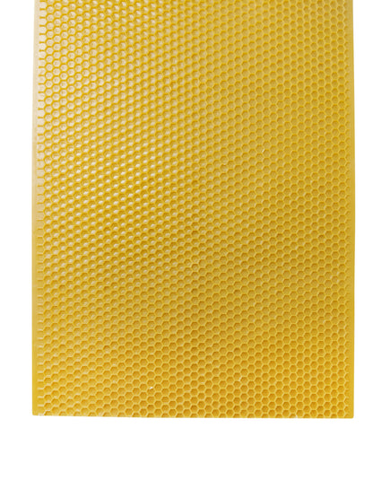 Plastic Beekeeping Foundation - DEEP - Yellow Color
