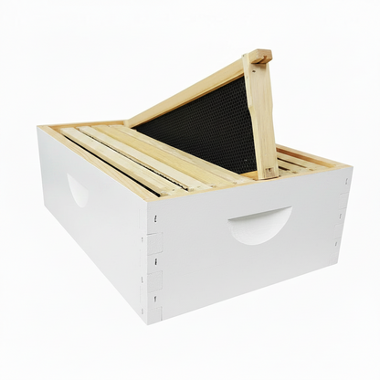 8 Frame Size MEDIUM Assembled, Wax Dipped, Painted Boxes and 8 Assembled Medium Frames With Plastic Foundation