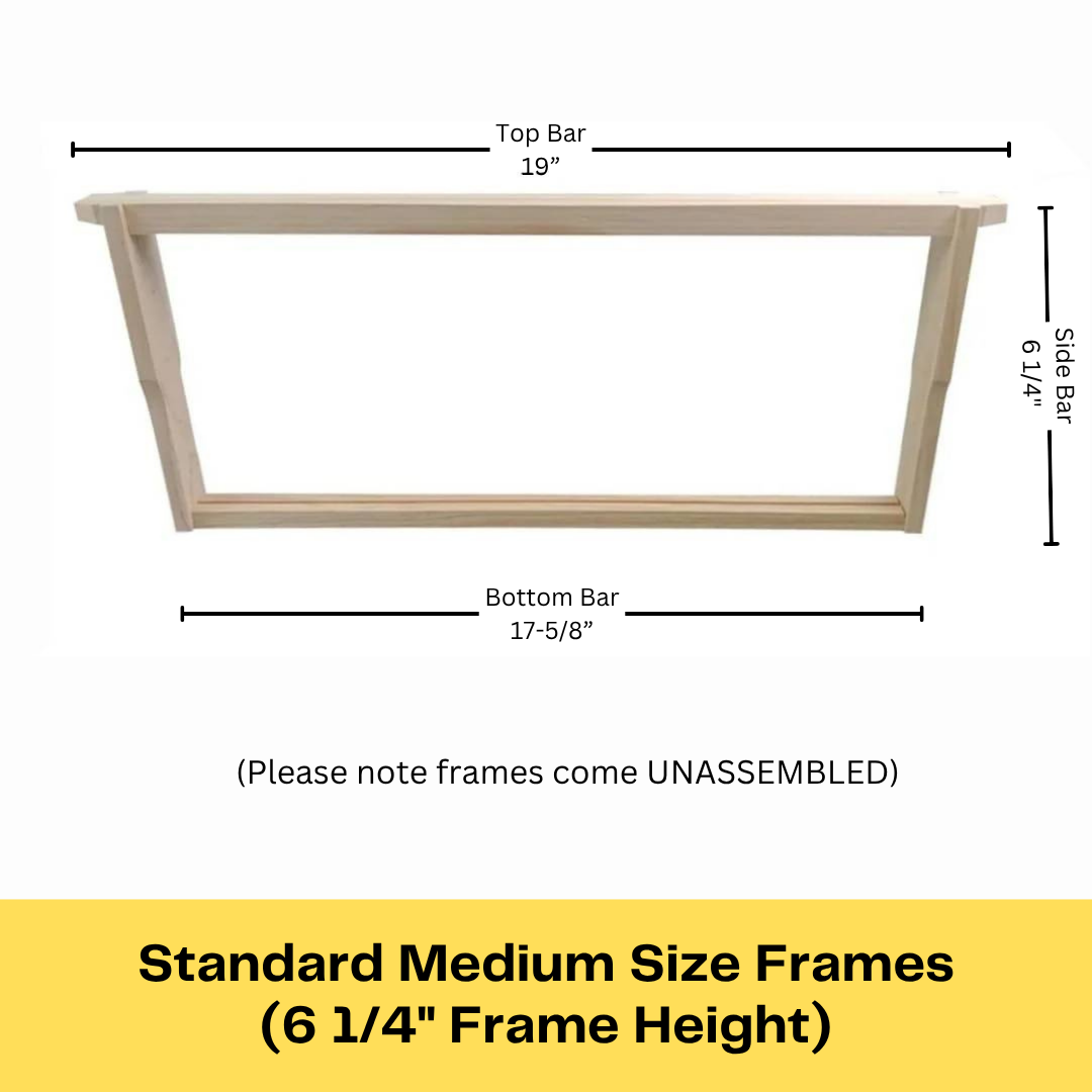 Medium Beekeeping Frame Dimensions Bee Frame