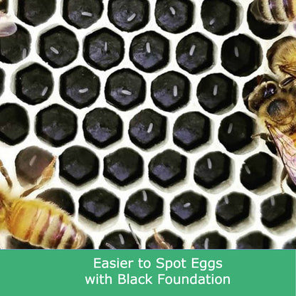 Bulk Buy - 100 x Deep Beekeeping Frames With Black Plastic Foundation
