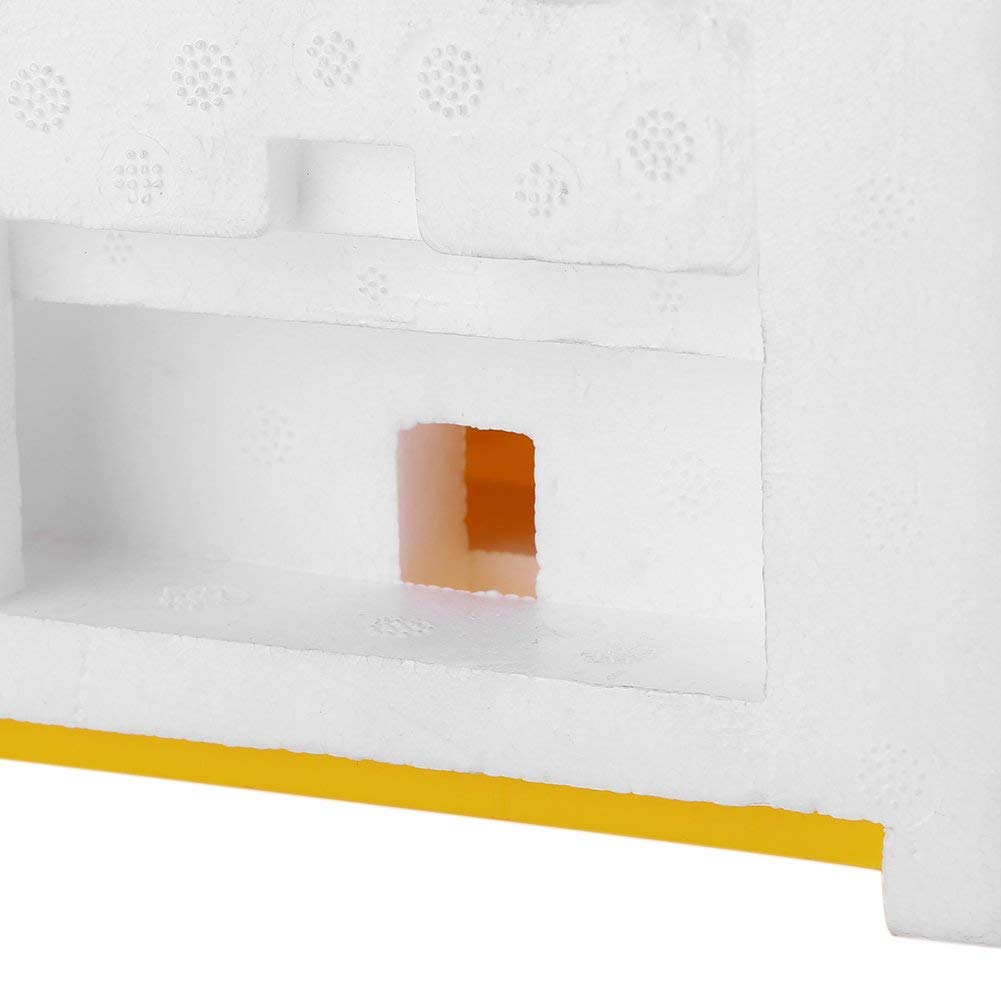 mating nuc beehive nucleus Queen rearing Hive mini 