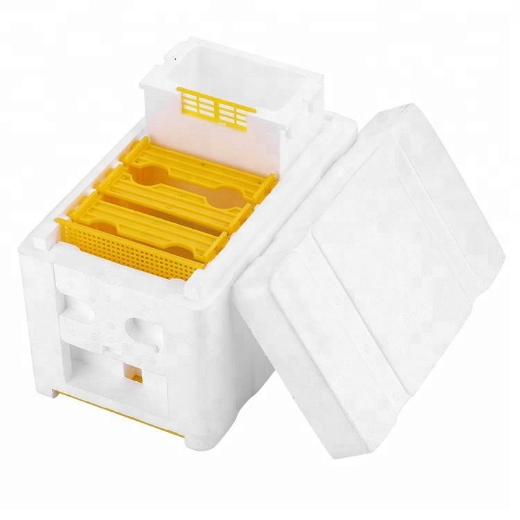 Queen rearing Hive mini mating nuc beehive nucleus