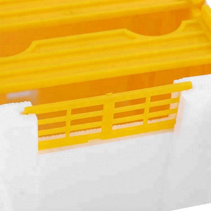mating nuc beehive nucleus queen bee mini rearing hive