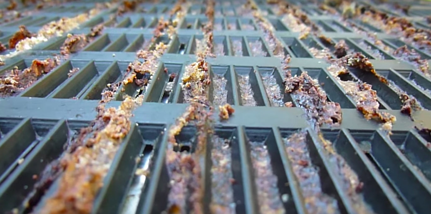 Propolis Trap
