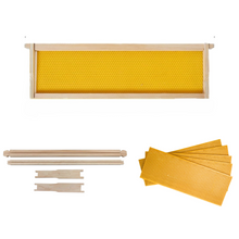 Shallow beekeeping frames with plastic foundation