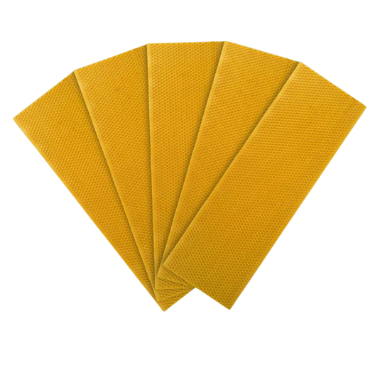 Shallow yellow plastic beekeeping foundation