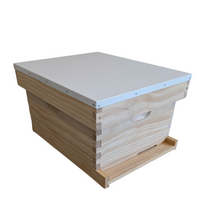 10F size deep single layer beehive kit