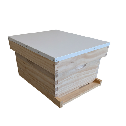 10F size deep single layer beehive kit