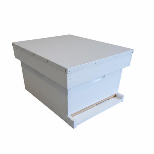 10 Frame Single layer assembled painted beehive with telescopic lid
