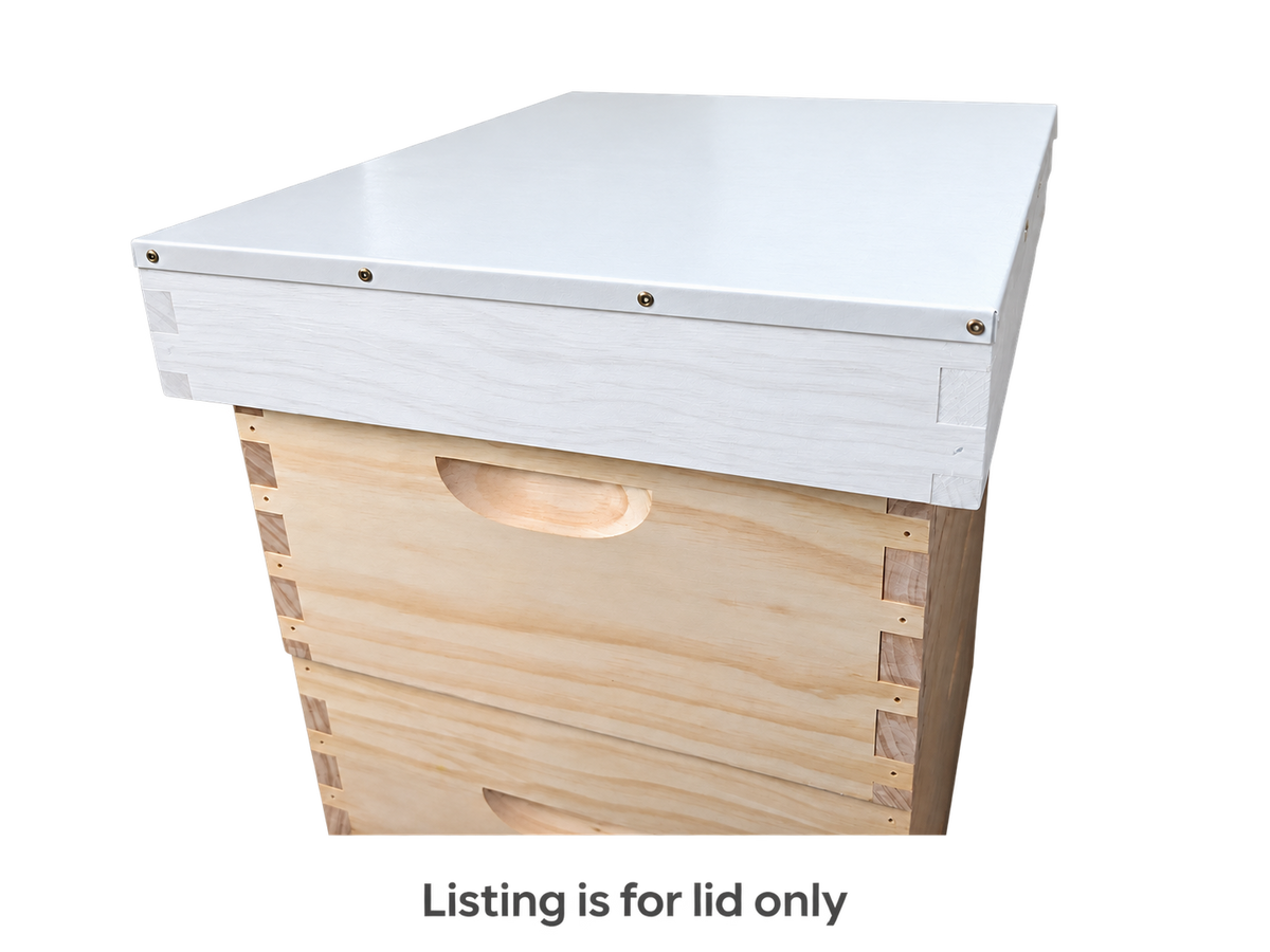 10 Frame - Telescoping Beehive Outer Cover Lid