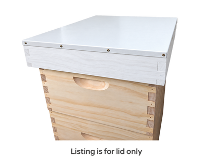 10 Frame - Telescoping Beehive Outer Cover Lid