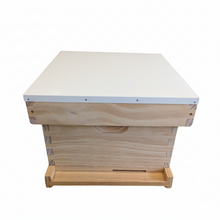 10F Beehive kit