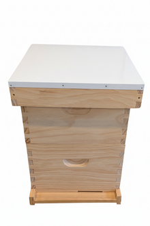 10 Frame Double Beehive Kit