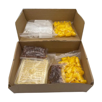 JENTER Queen Rearing Kit