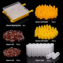 JENTER Queen Rearing Kit