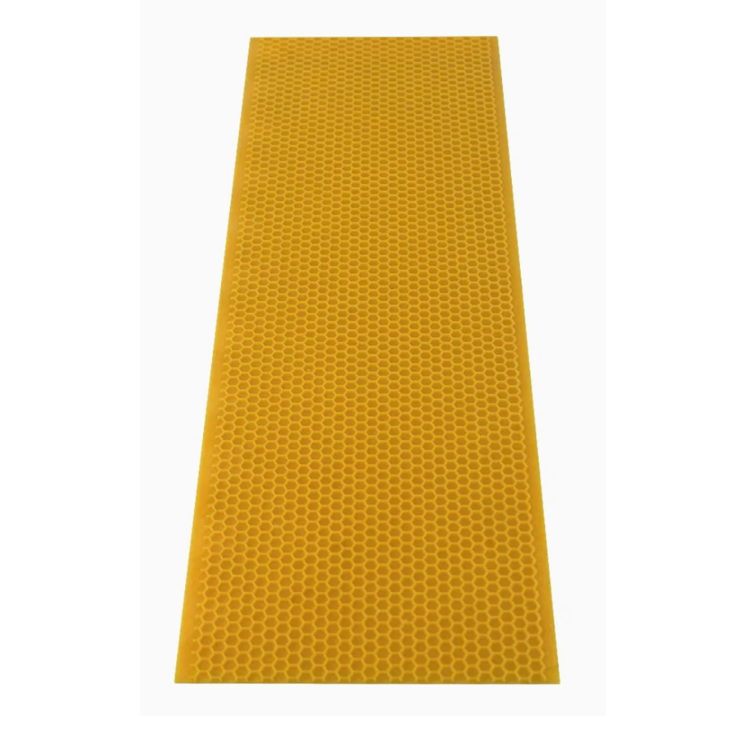 shallow plastic beekeeping foundation