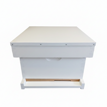 10 Frame Single layer assembled painted beehive with telescopic lid
