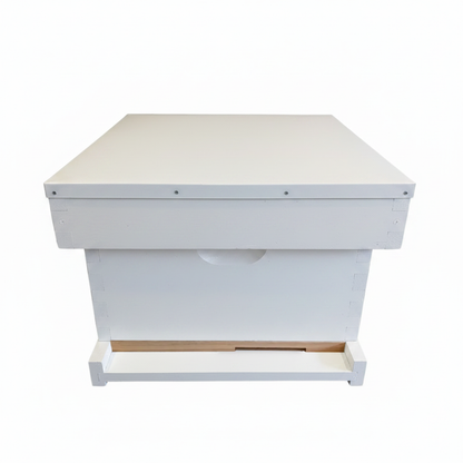 10 Frame Single layer assembled painted beehive with telescopic lid